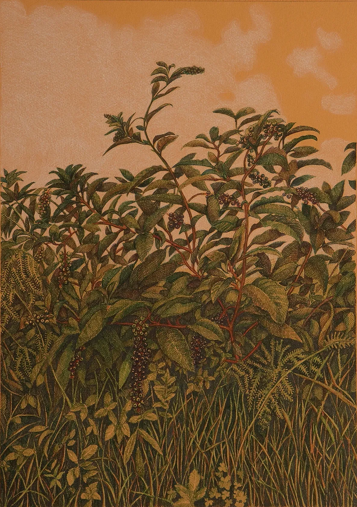 بی نیاز