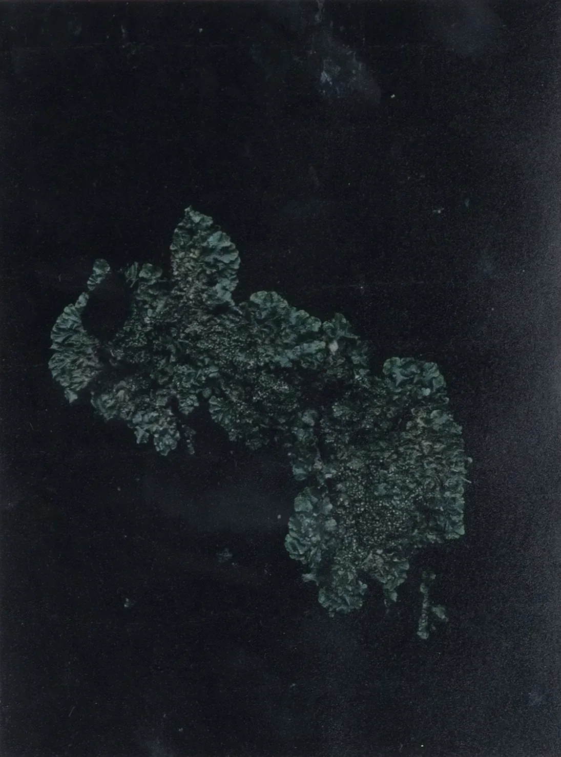نقوش طبیعت