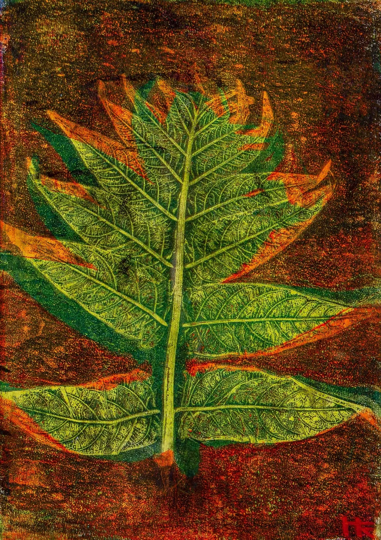 سجیل نباتی 05