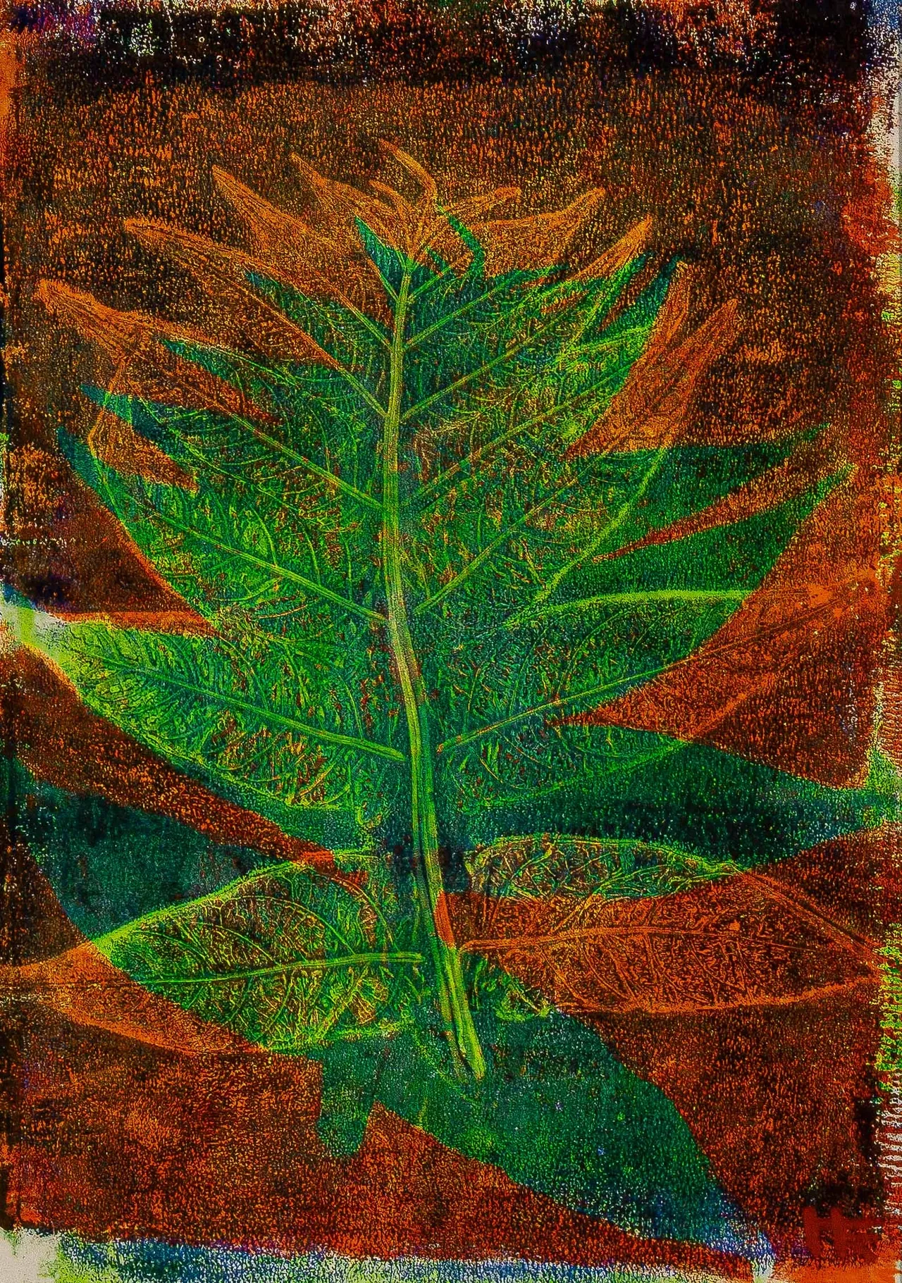 سجیل نباتی 03