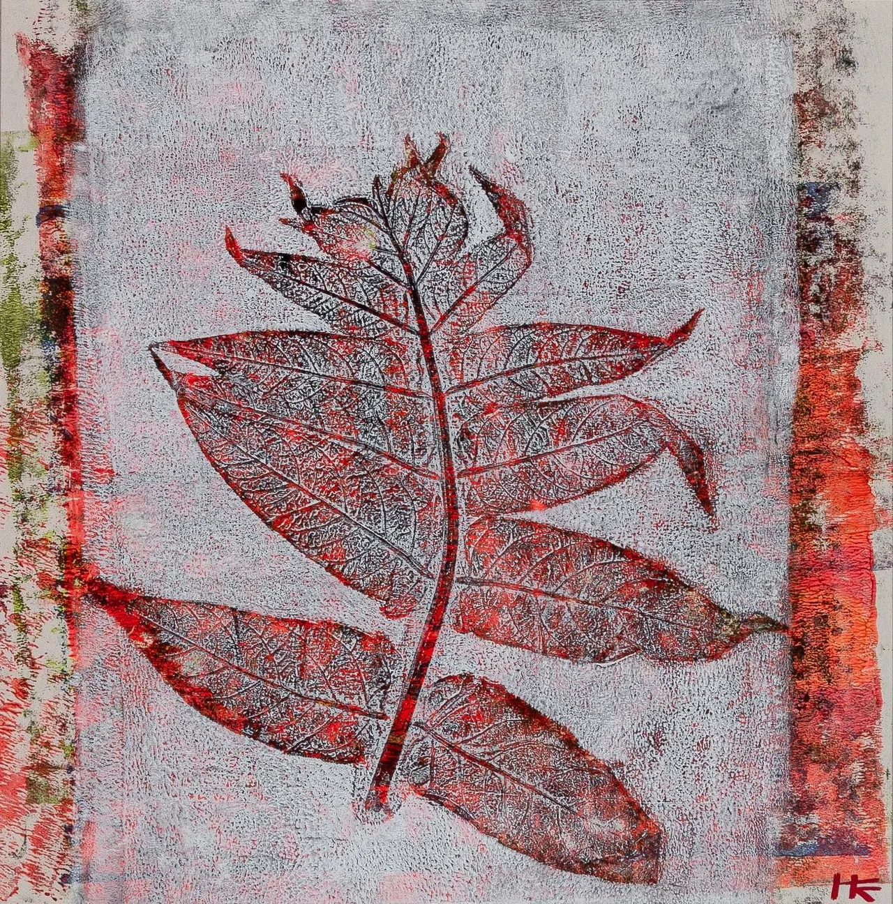 سجیل نباتی ۰۱