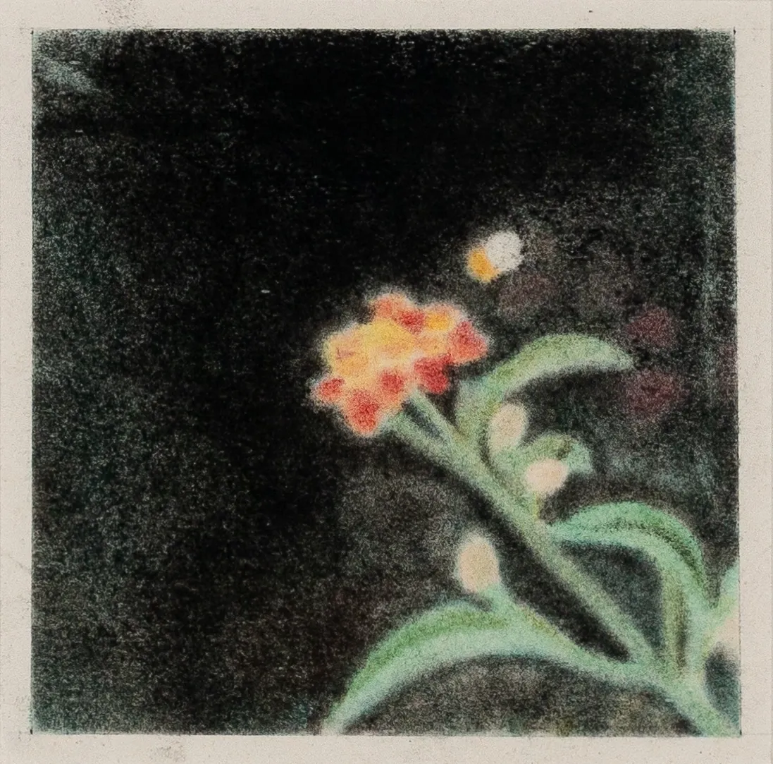  نارنجی برای شاه پسند