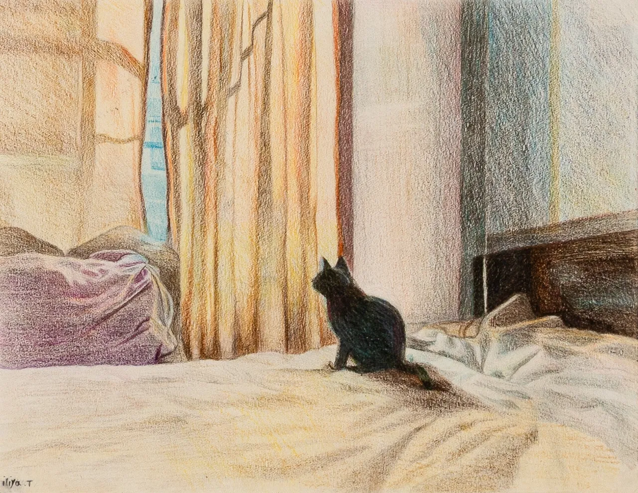 گربه سیاه شماره ۳