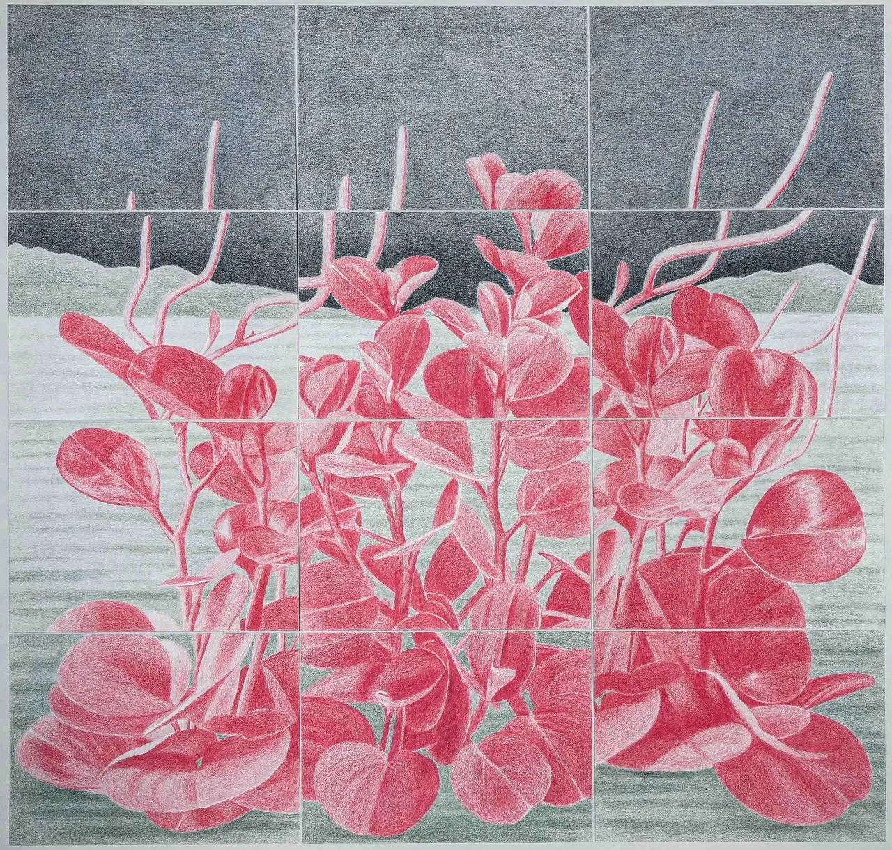 ریشه در آب ۲