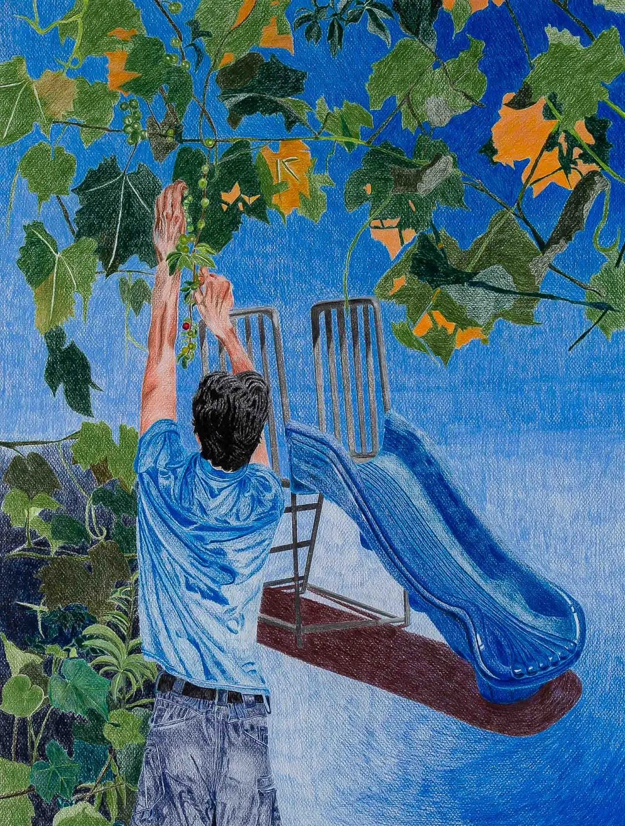 کارخانه خرگوش