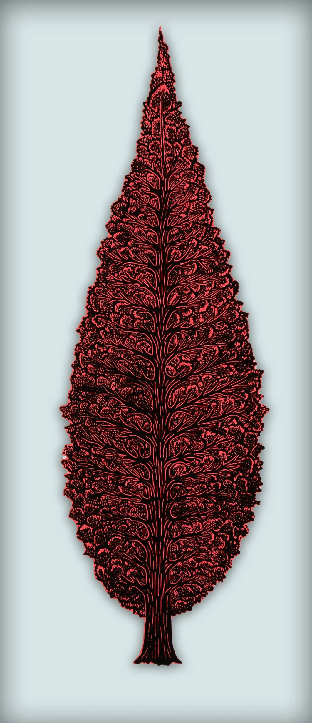 ایستاده در سکوت و تنهایی