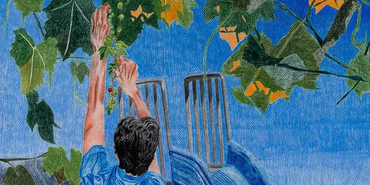 کارخانه خرگوش