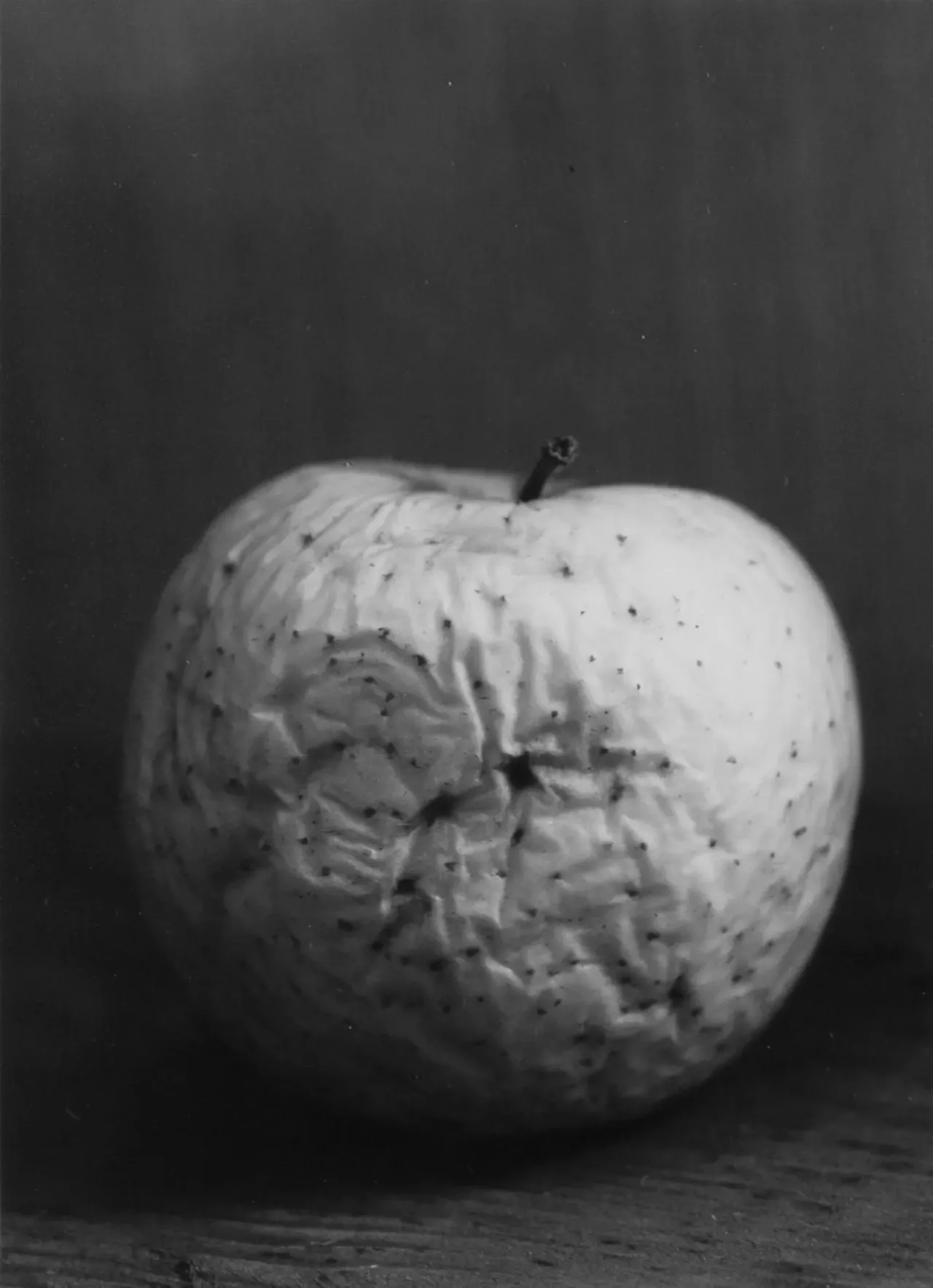 محدثه موسوی