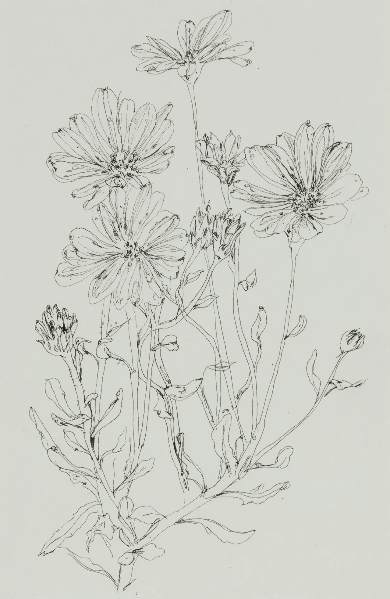 feature-image