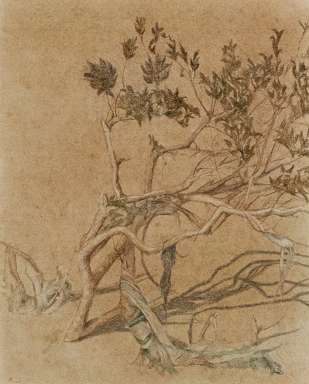 feature-image