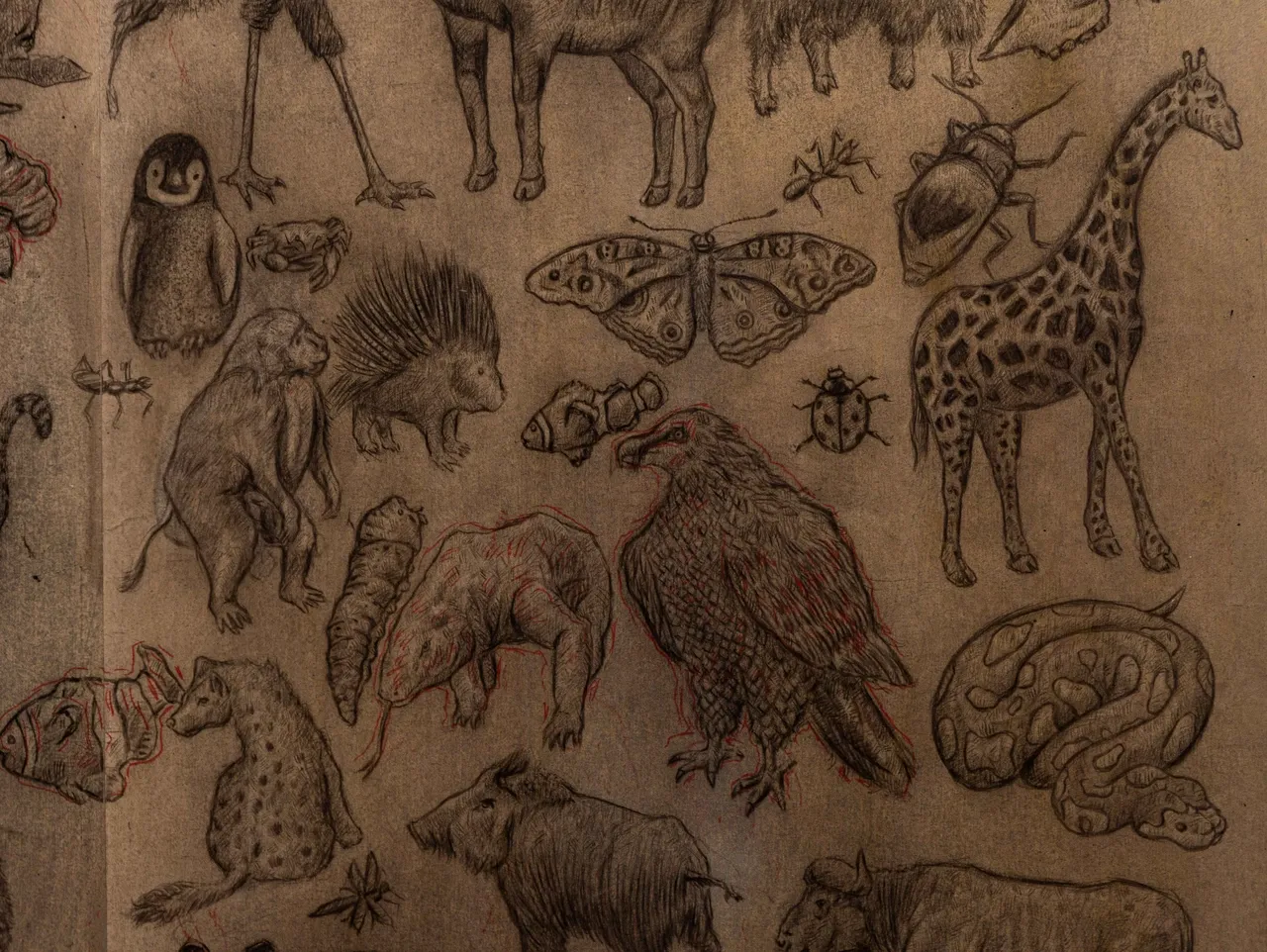 artwork-image-5