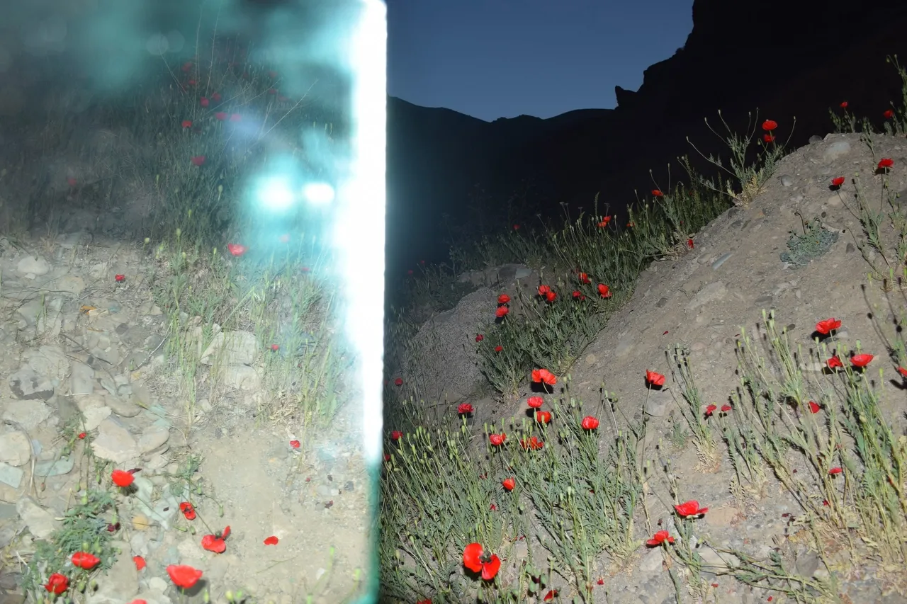 feature-image