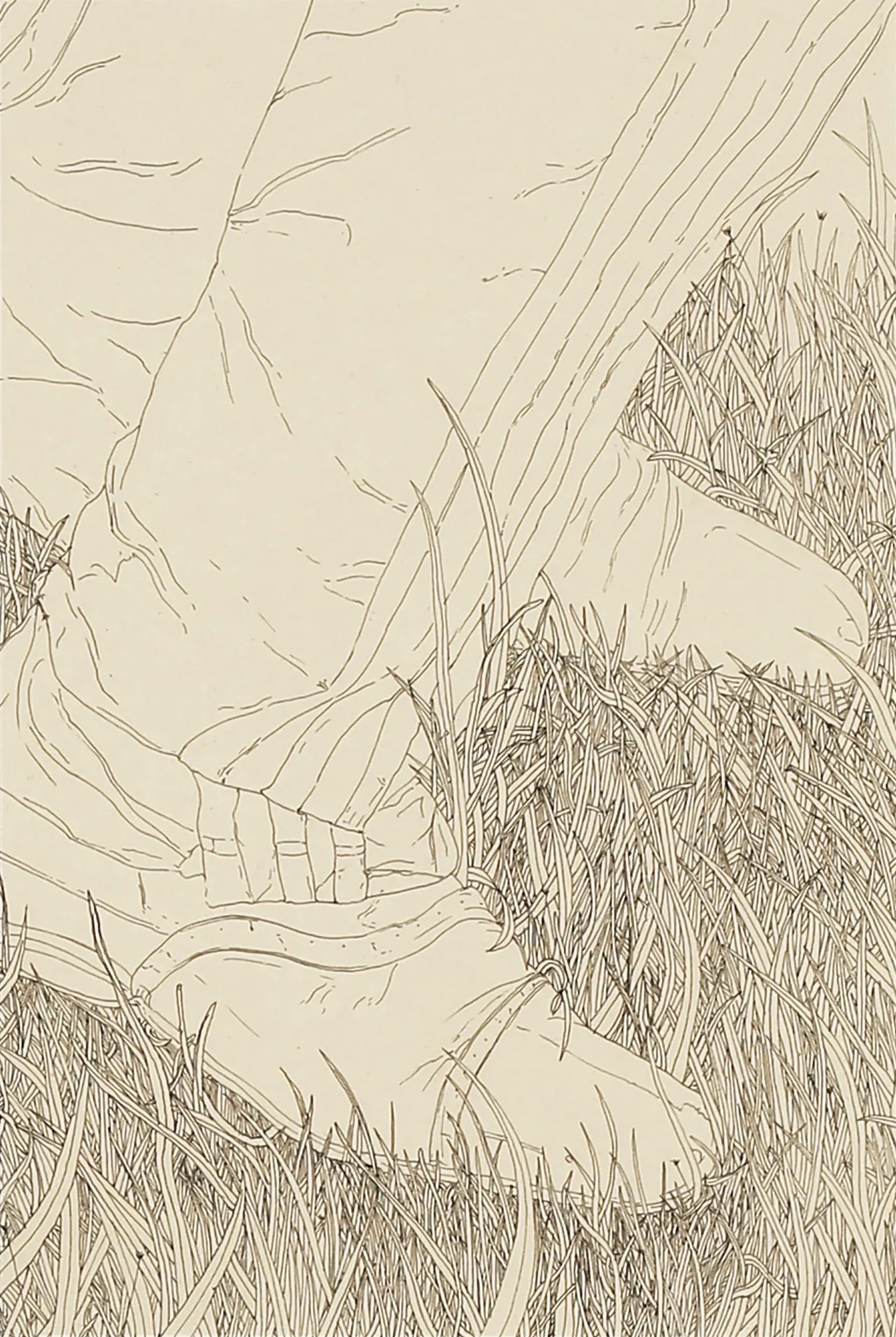 feature-image