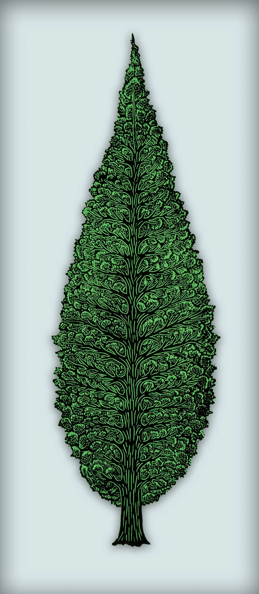 feature-image