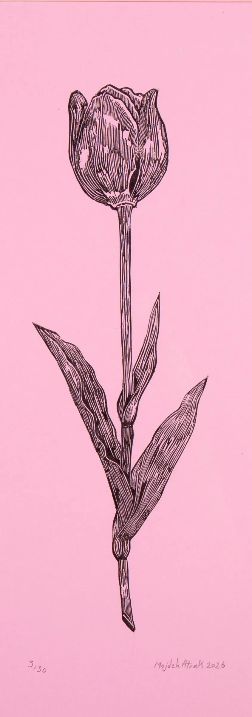 feature-image