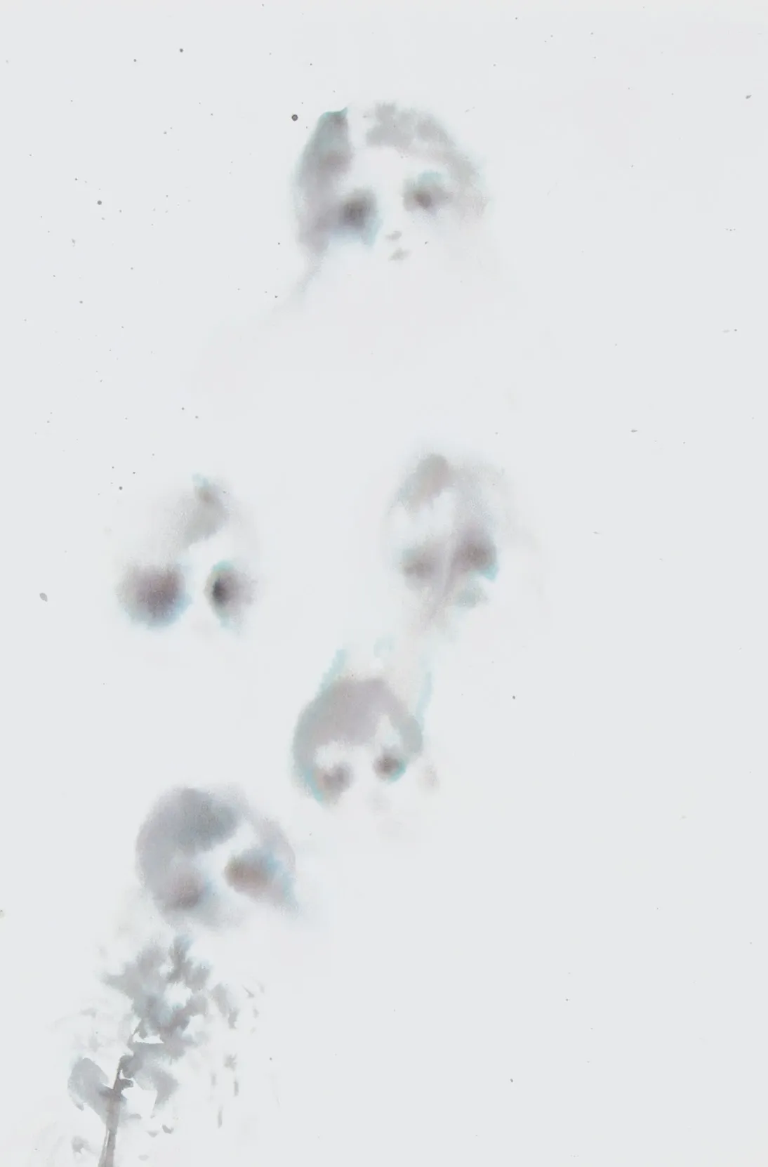 feature-image