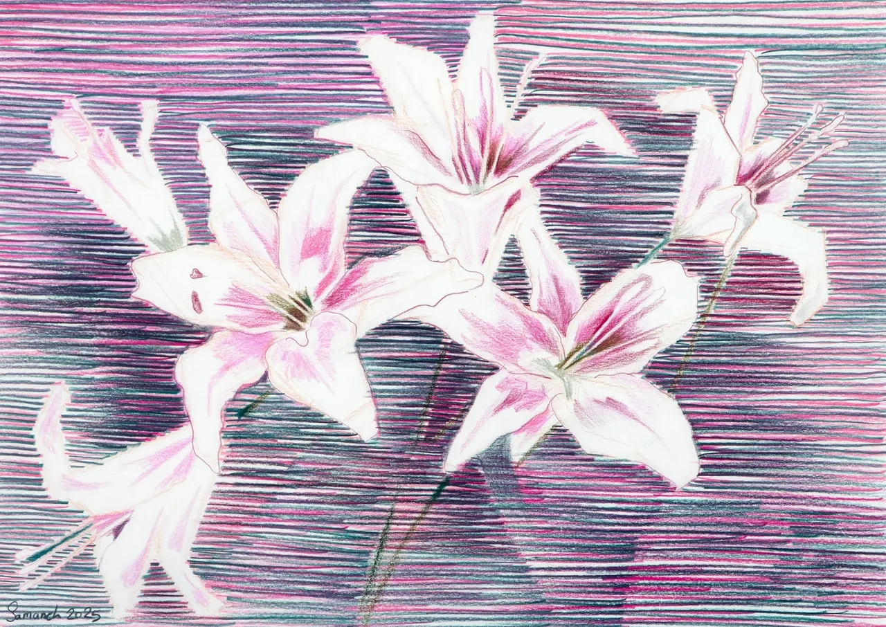 سمانه اخباریان