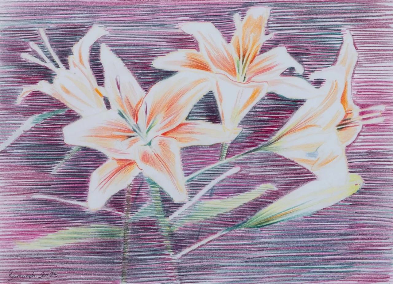 سمانه اخباریان