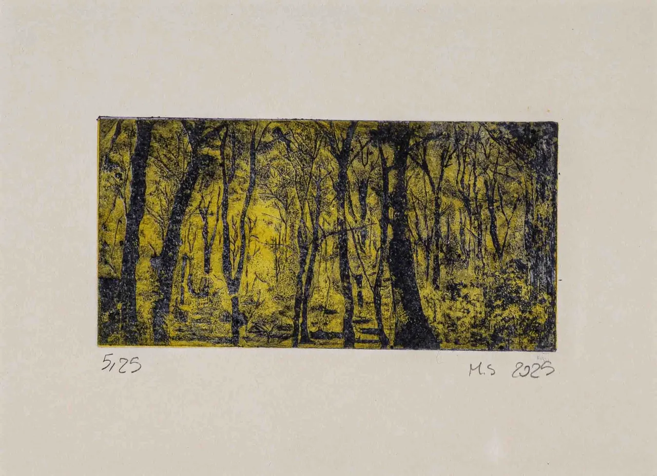 محدثه سرباز