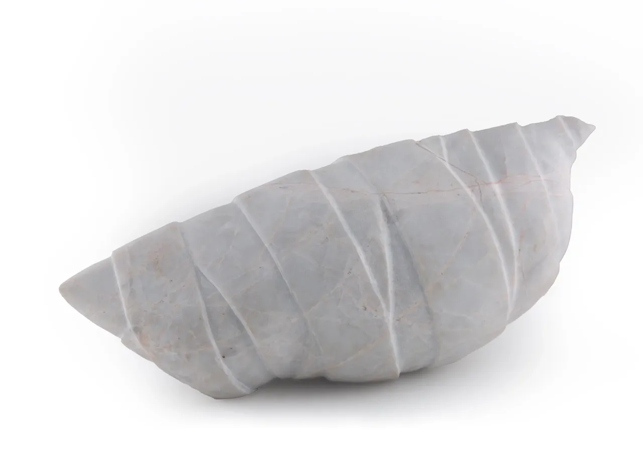 سارا اصغرزاده