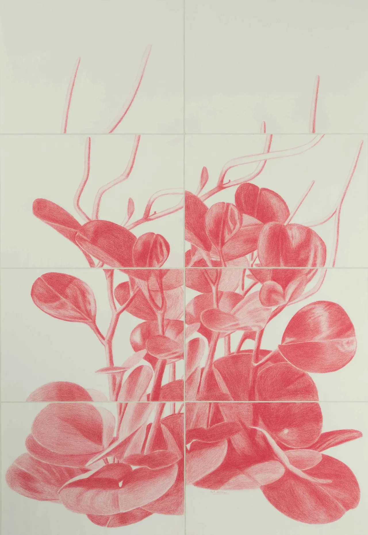 سمانه یوسفی