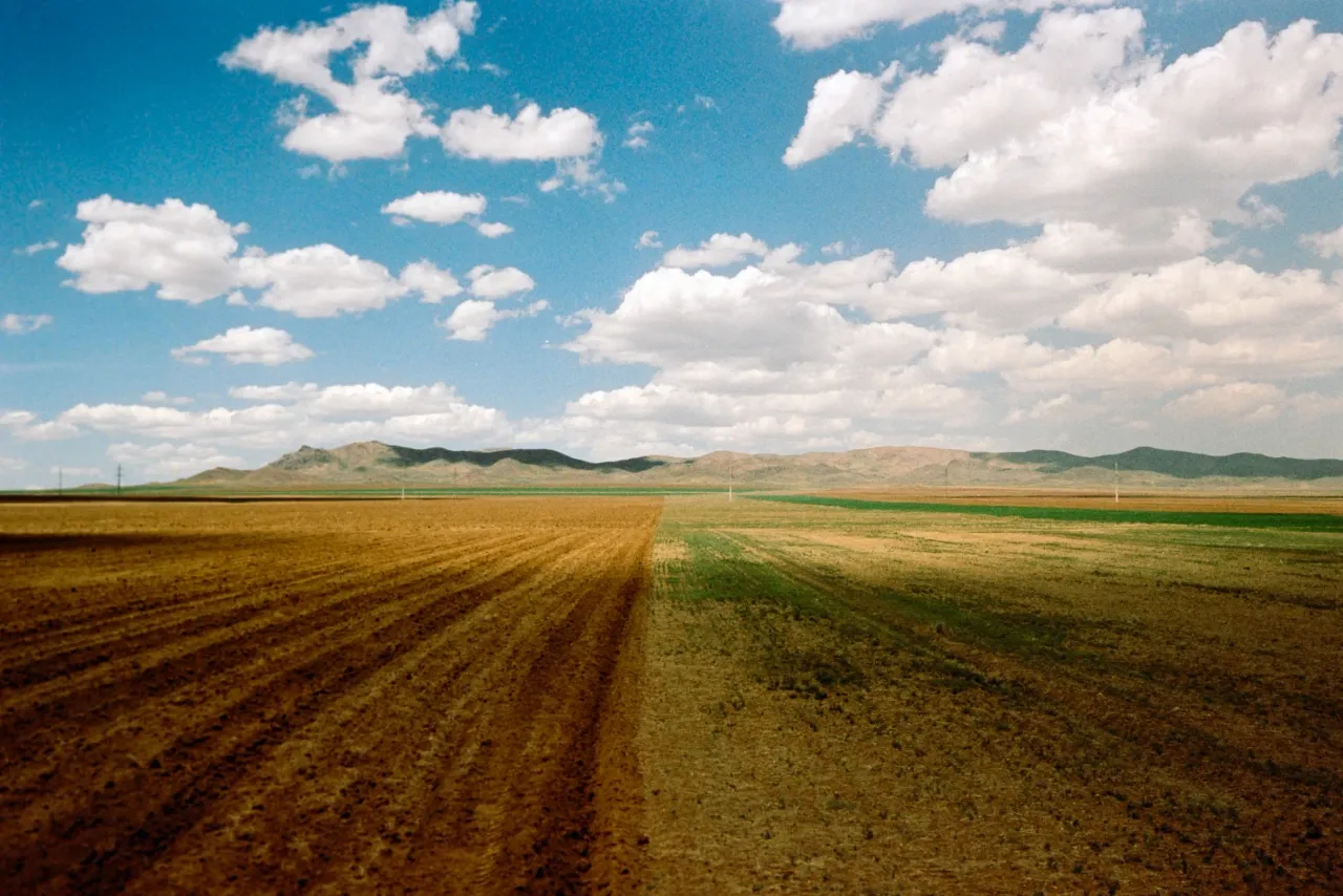 زیر آسمان جیبلی