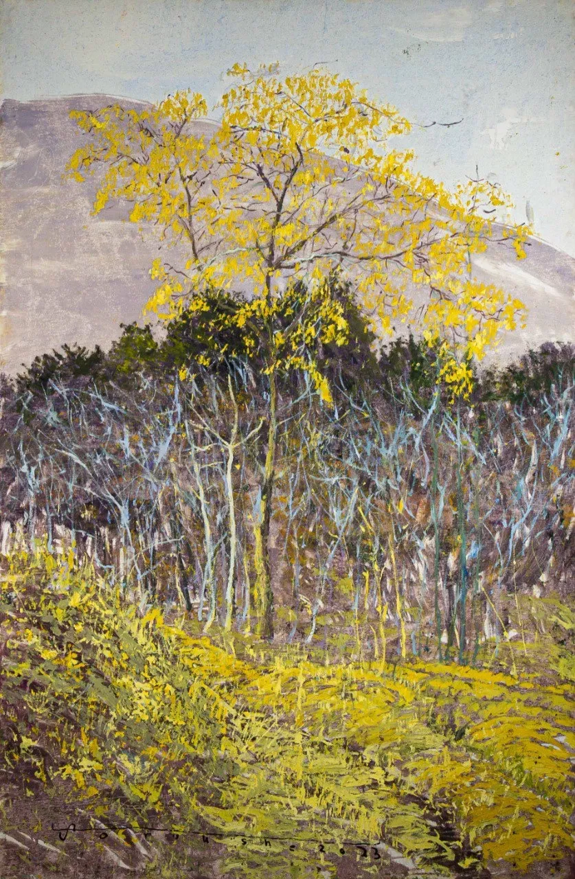 تفاوت من و شیما