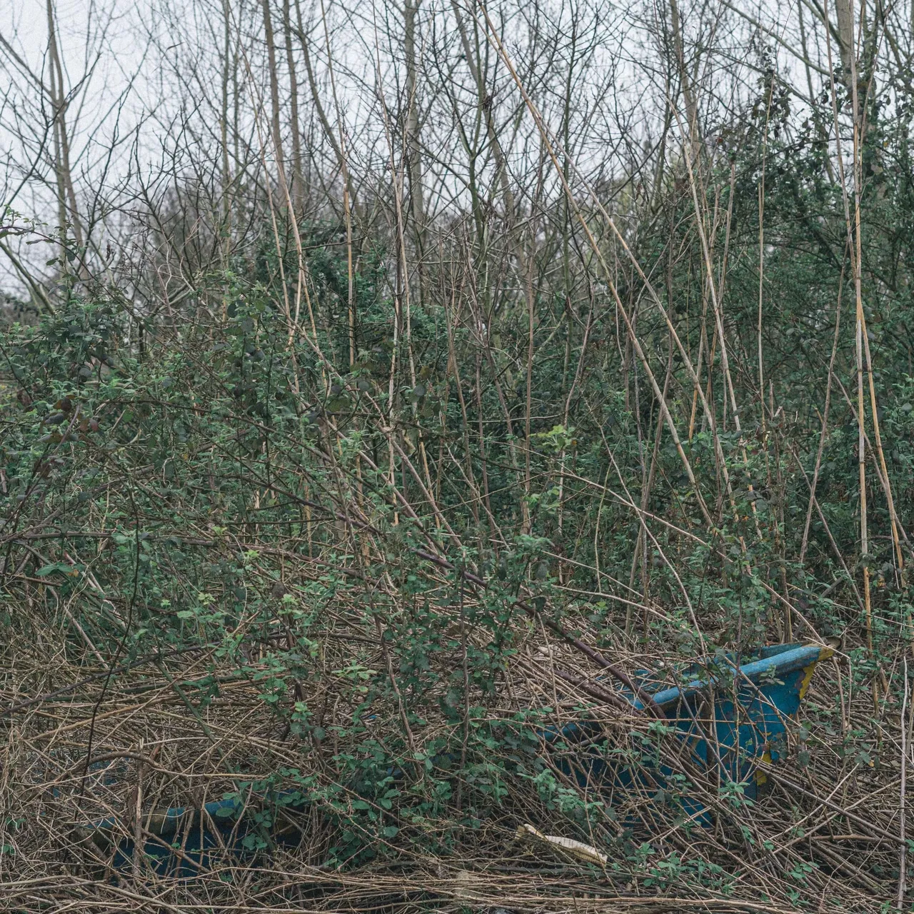 بدون عنوان " از مجموعه " میانگاه زوال "