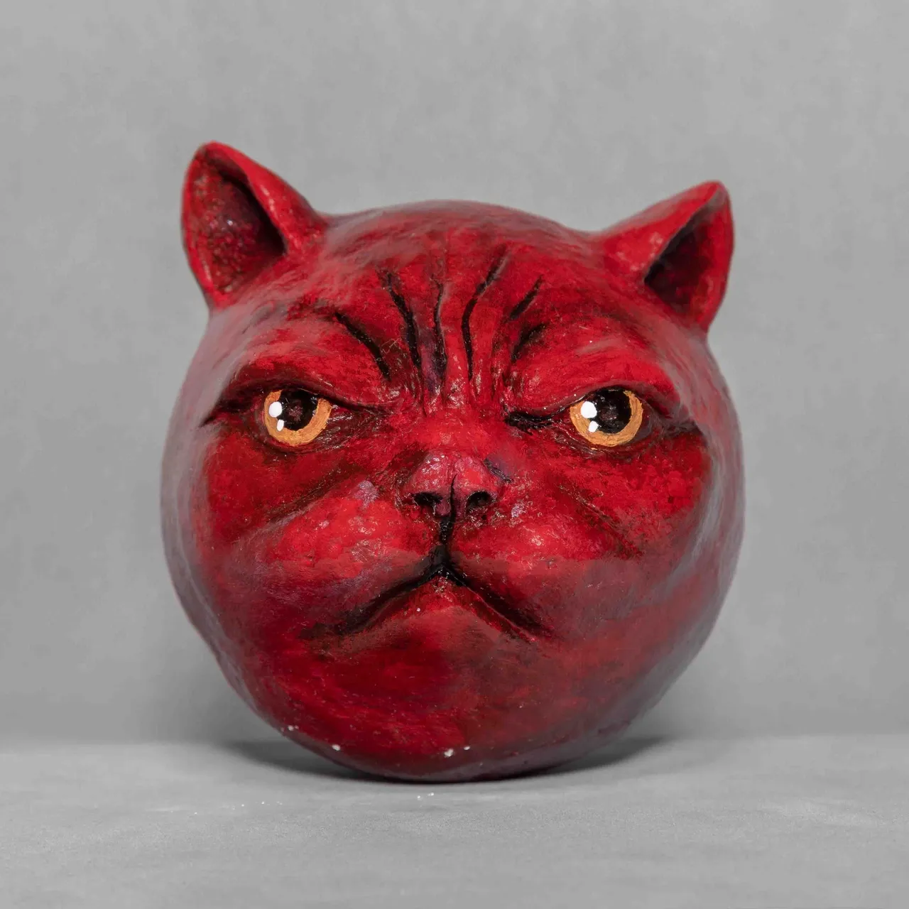 گربه گيلاسى رسيده