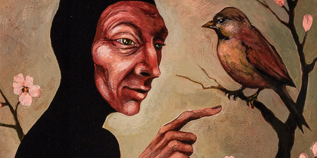 گربه گيلاسى 1